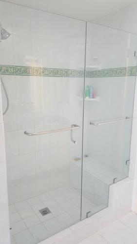 shower door and rail